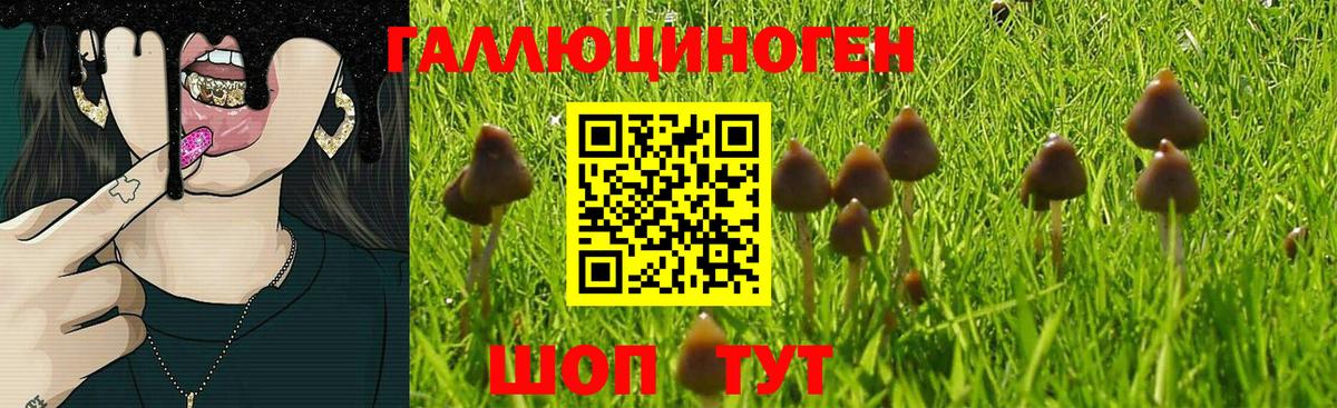 Галлюциногенные грибы MAGIC MUSHROOMS  Вход с VPN  Псилоцибиновые грибы мухоморы  Карасук 